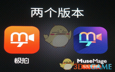 网红小猫“悟空”疑似中毒去世